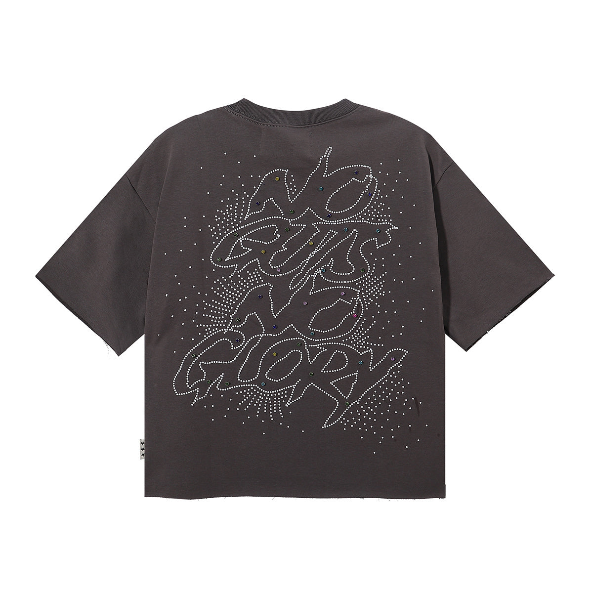 No Gut No Glory F-Terry