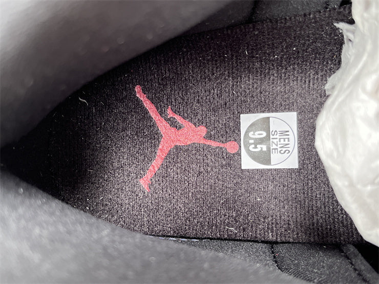 Flu Game