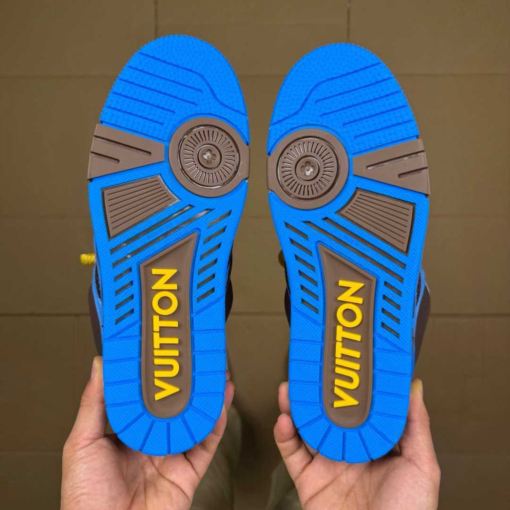 Blue and Brown Skates
